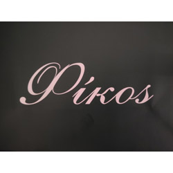 Company_logo