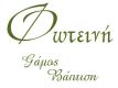 Company_logo